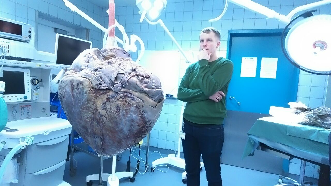 Hvordan opstår et hjerteslag?