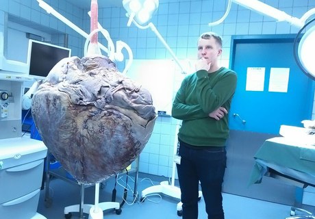 Hvordan opstår et hjerteslag?