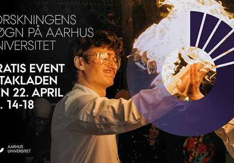 Hvorfor findes der legetøj? Hvordan opstod der liv på Jorden? Og hvad kan myrer lære os om ledelse?