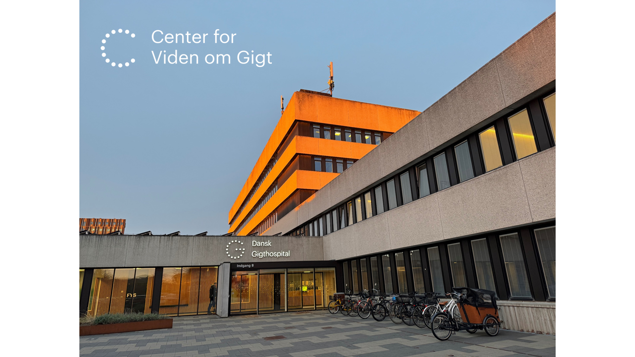 Center for Viden om Gigt, Dansk Gigthospital