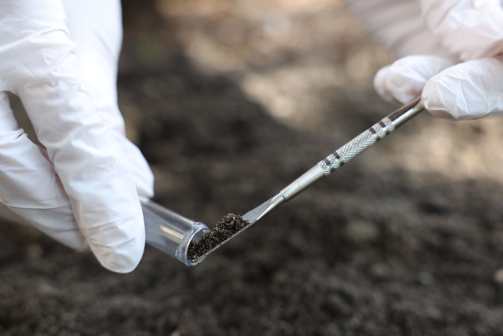 Kan mikroorganismer i jorden fortælle os noget om fortiden?