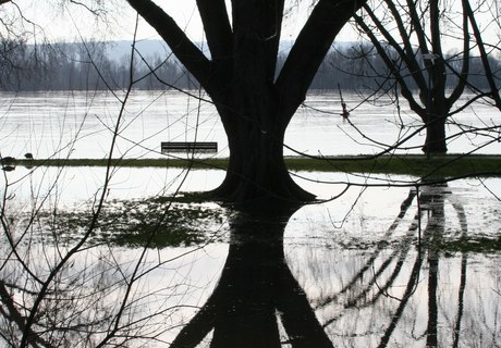 Naturens joker – når det hele tipper