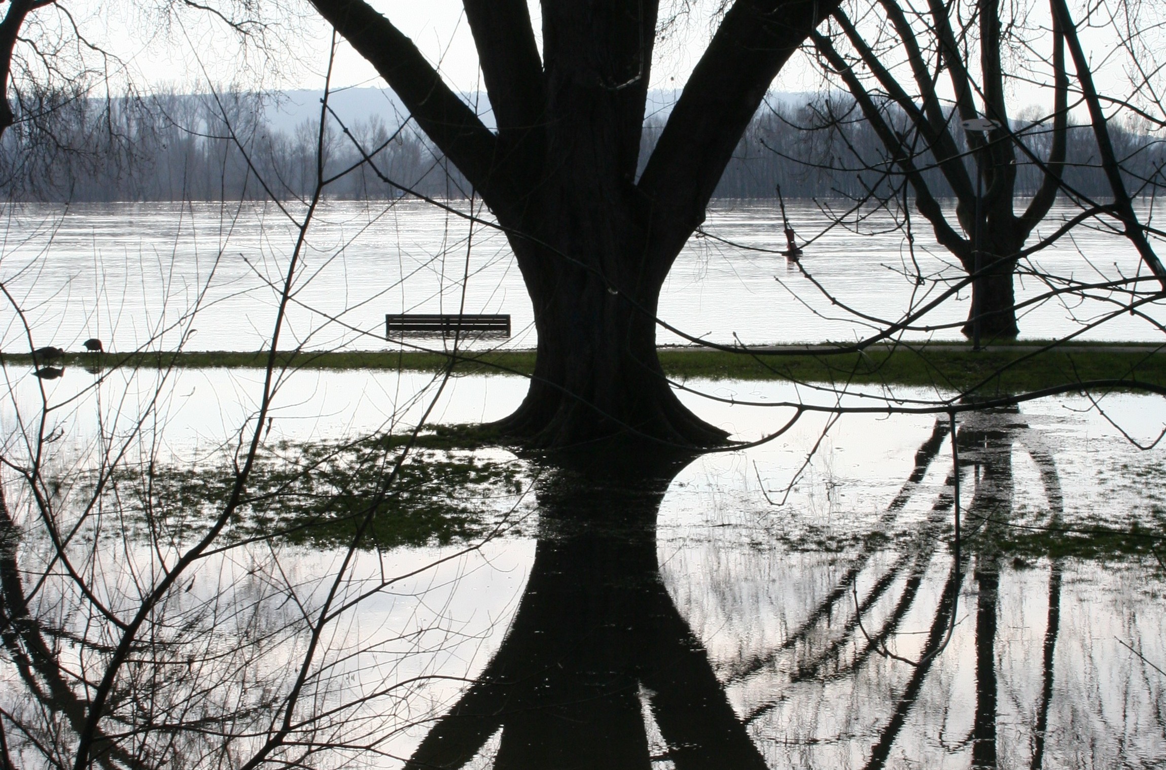 Naturens joker – når det hele tipper