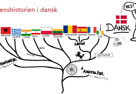 Verdenshistorien i dansk - en rejse gennem vores sprog