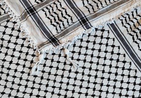 How solidarity with Palestinians emerged in West Germany