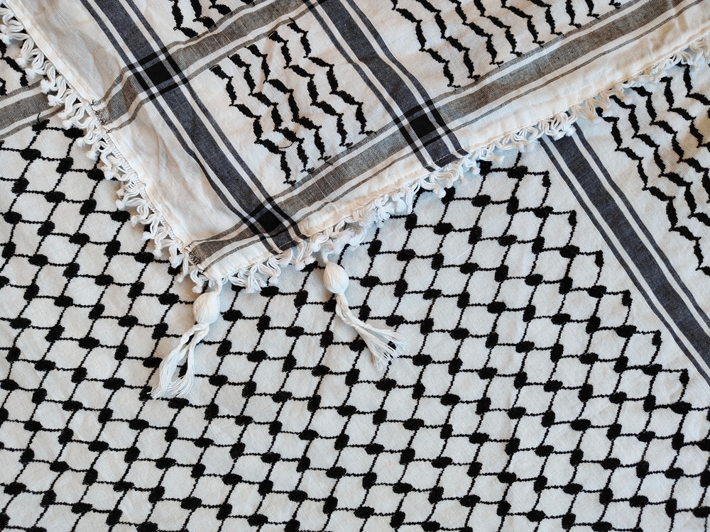 How solidarity with Palestinians emerged in West Germany