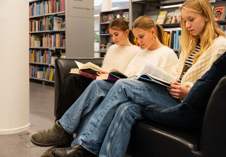 Litteratur i virkeligheden blandt de unge