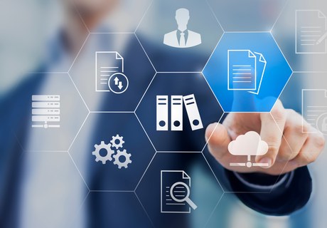 Den virksomhedsspecifikke ledelsesinformation