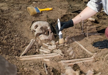 Skeletterne beretter: Danmarks befolkning gennem 1000 år