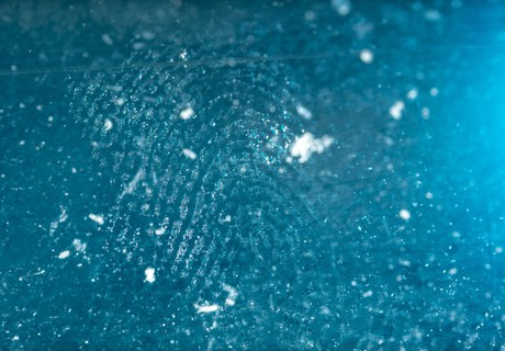 Spor i fortidens støv