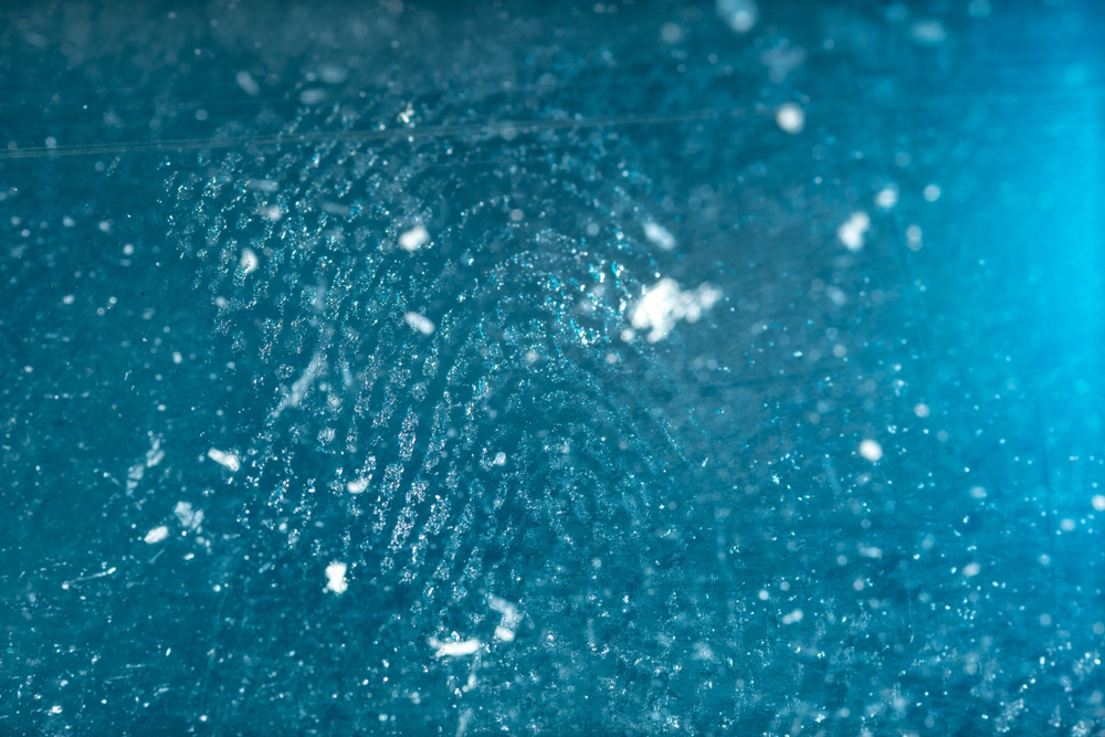 Spor i fortidens støv