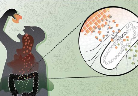I am E. coli! Get to know me better, in five episodes from my life story