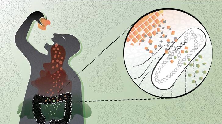I am E. coli! Get to know me better, in five episodes from my life story