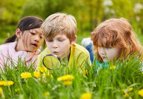 Mellem forskning og fantasi