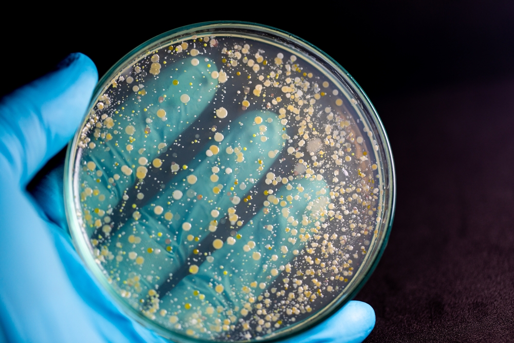 Plants and microbes: The real life savers!