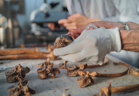 Skeletter og kemi, sporstofferne sladrer om livets gang i middelalderen