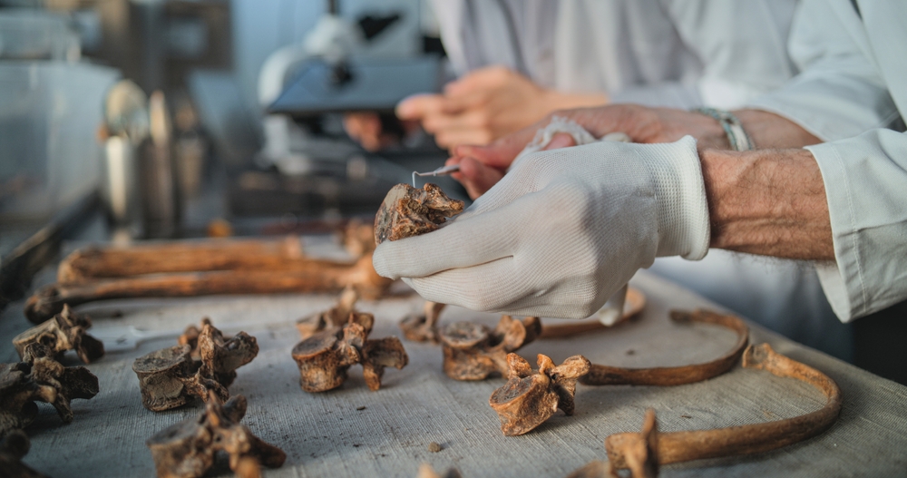 Skeletter og kemi, sporstofferne sladrer om livets gang i middelalderen