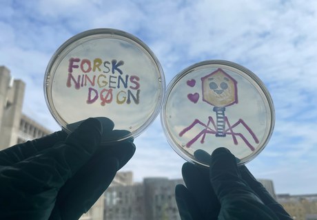 Fagterapi - virus som medicin