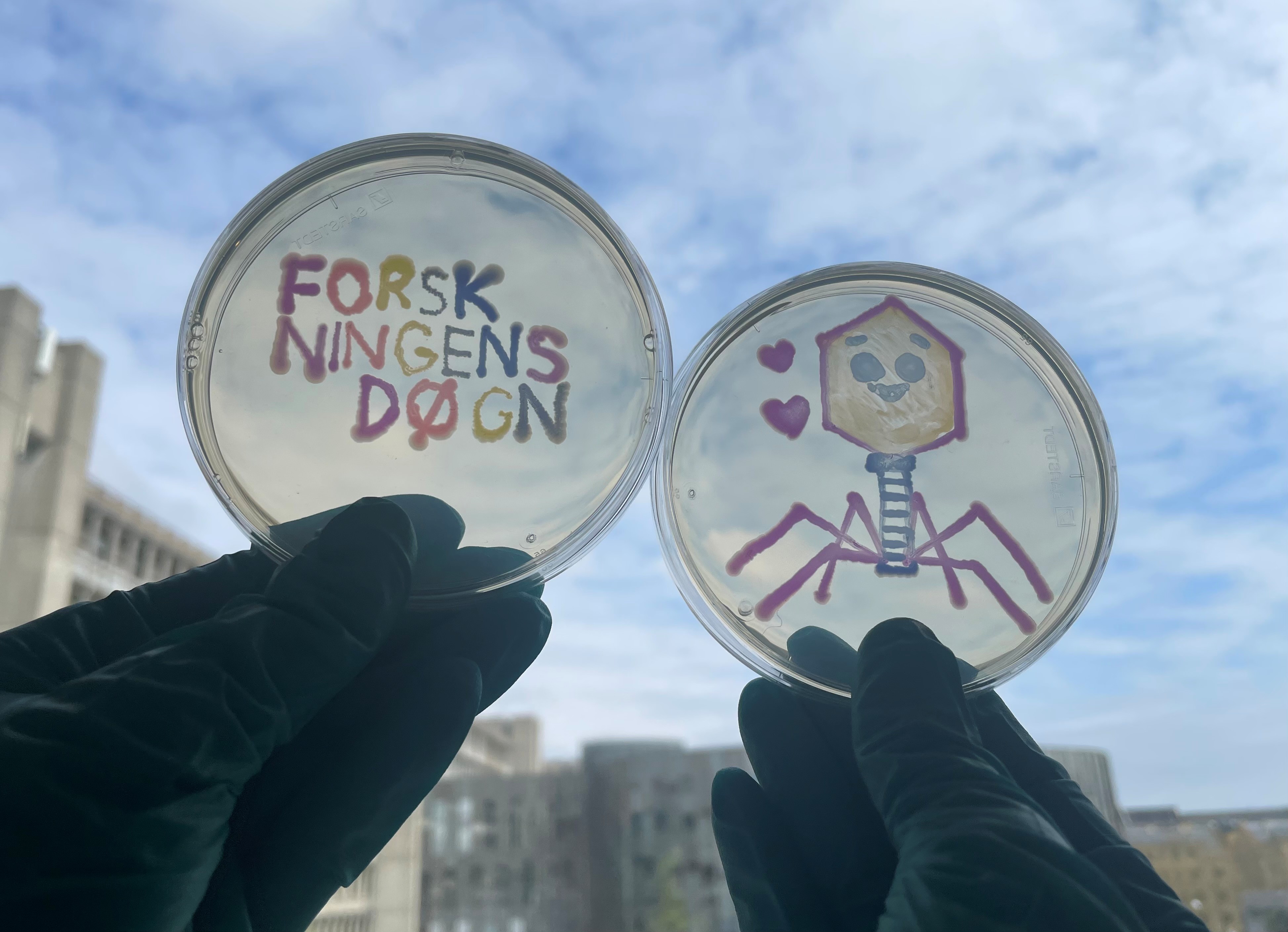 Fagterapi - virus som medicin