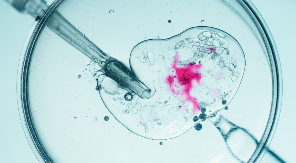 Fertilitetsbehandling - Før, nu og i fremtiden