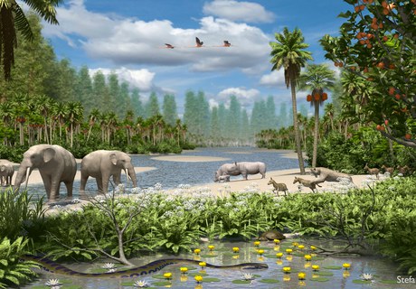 Fra fossiler til forudsigelser: Klimadetektivens rejse gennem Danmark