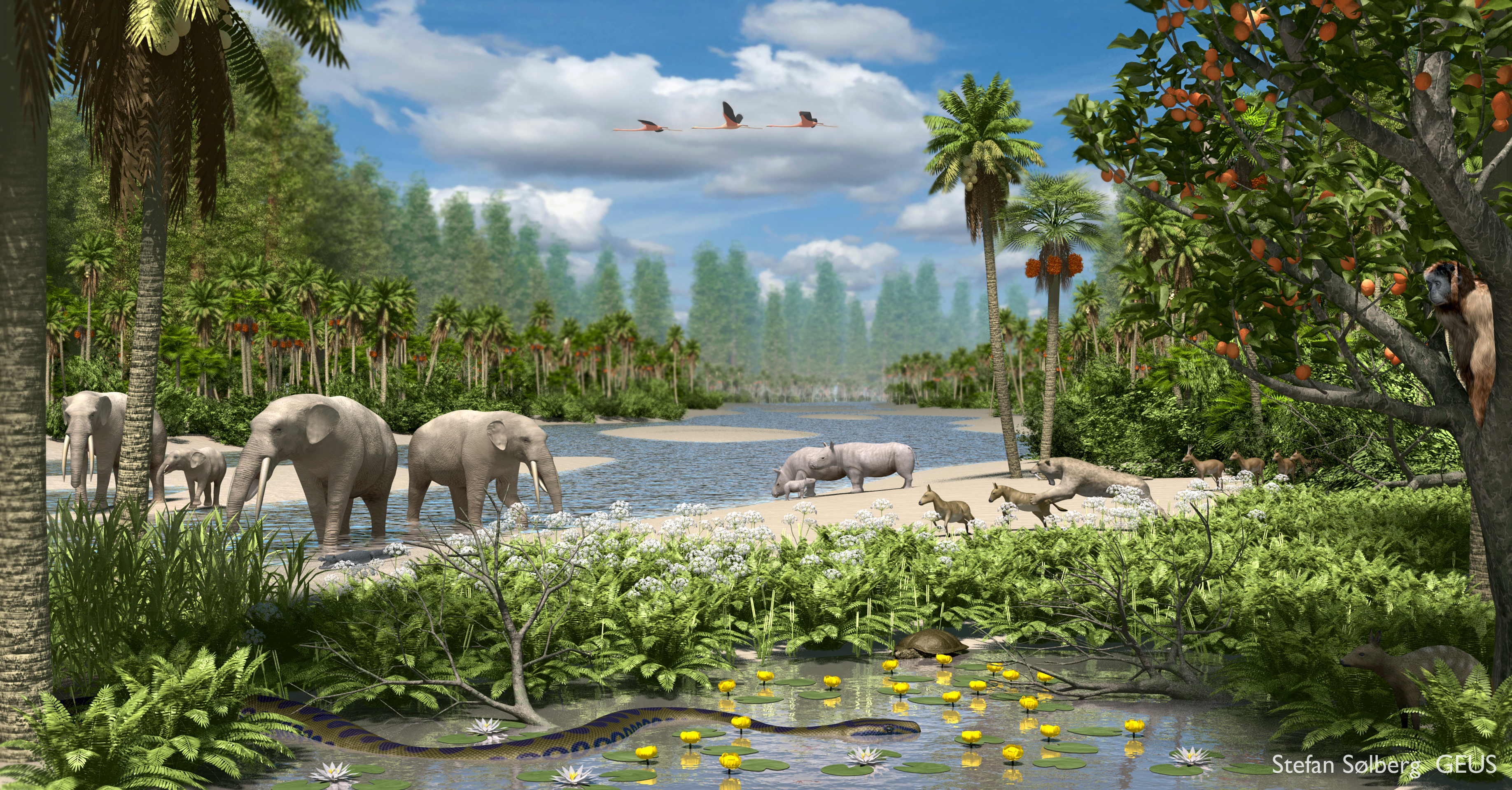 Fra fossiler til forudsigelser: Klimadetektivens rejse gennem Danmark