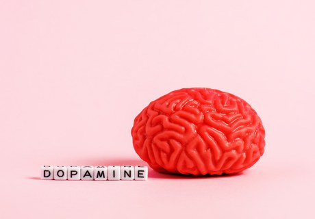 Hjernens dopamin - få celler, stor magt