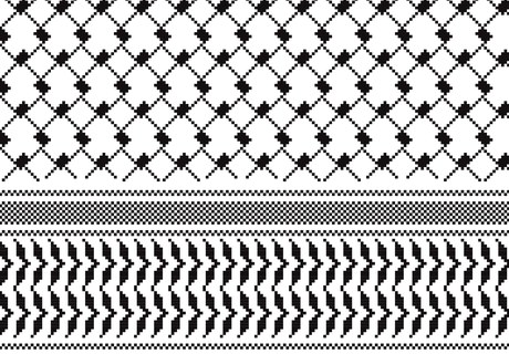 How solidarity with Palestinians emerged in West Germany