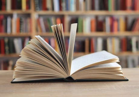 Judith Hermann - en stilfærdig og dramatisk forfatter