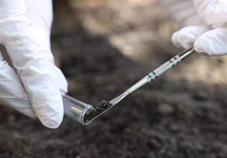 Kan mikroorganismer i jorden fortælle os noget om fortiden?