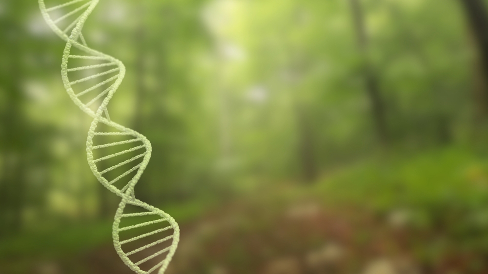 Life After Life: The Afterlife of DNA