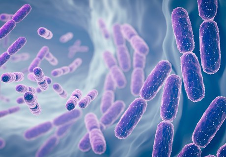 Seeing the invisible: How bioinformatics reveals hidden life