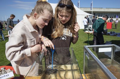 Workshop ved Vikingeskibsmuseet