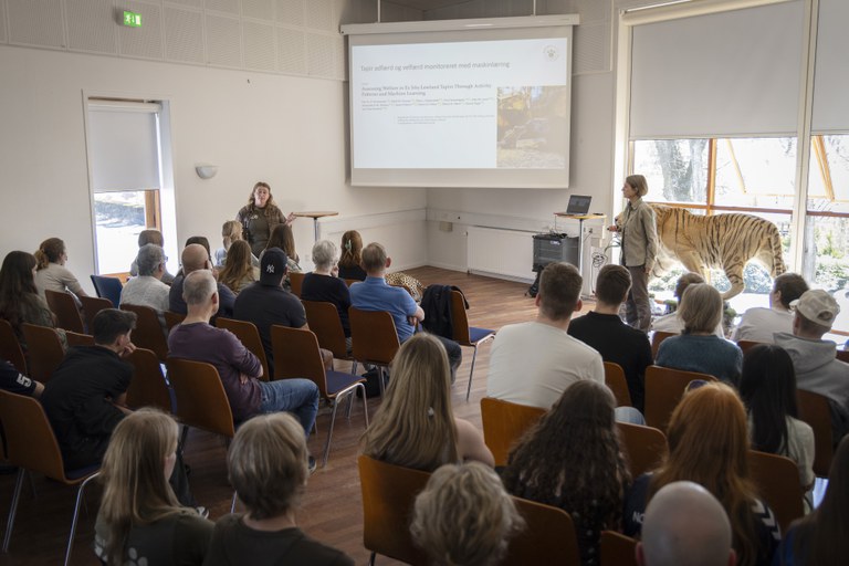 FD26-AalborgZoo01.jpg
